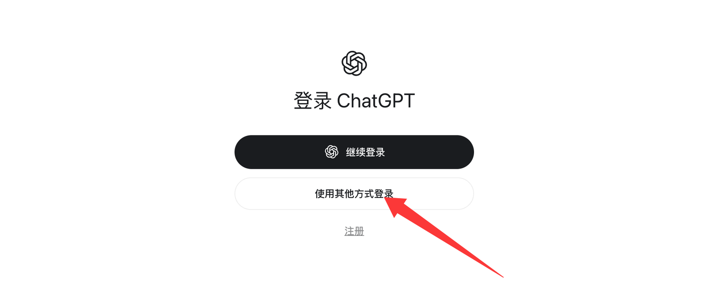 Codex API Key 登录界面